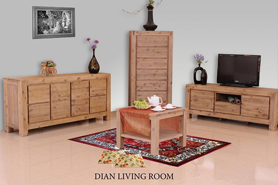 DIAN LIVING ROOM